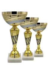 CTS 077 | SET de 3 Cupe Sportive - TrophyShop